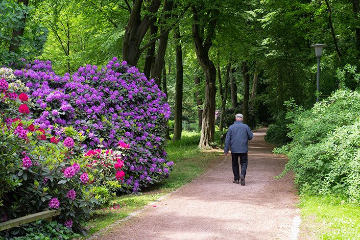 Park Schöntal (Foto: Till Benzin)