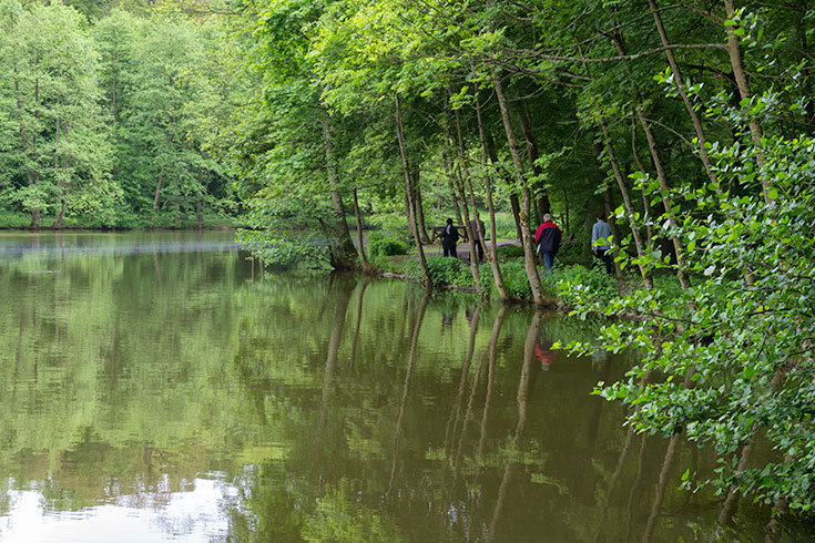 Fsanerie (Foto: Till Benzin)
