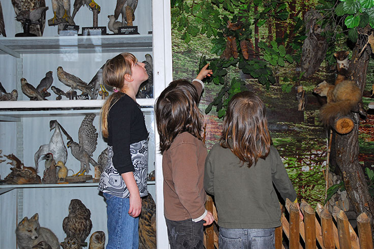 Naturwissenschaftliches Museum (Foto: Ines Otschik)