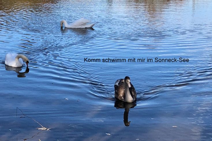 Wohnen auf Zeit am See
