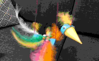 2020-04-28 Vogel