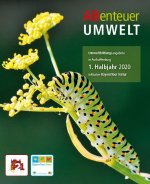ABenteuer Umwelt: Raupe des Schwalbenschwanzschmetterlings auf Fenchelpflanze