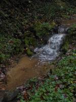  Fahrbach