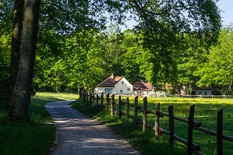 Natur und Erholung (Park Schönbusch – Foto: Till Benzin)