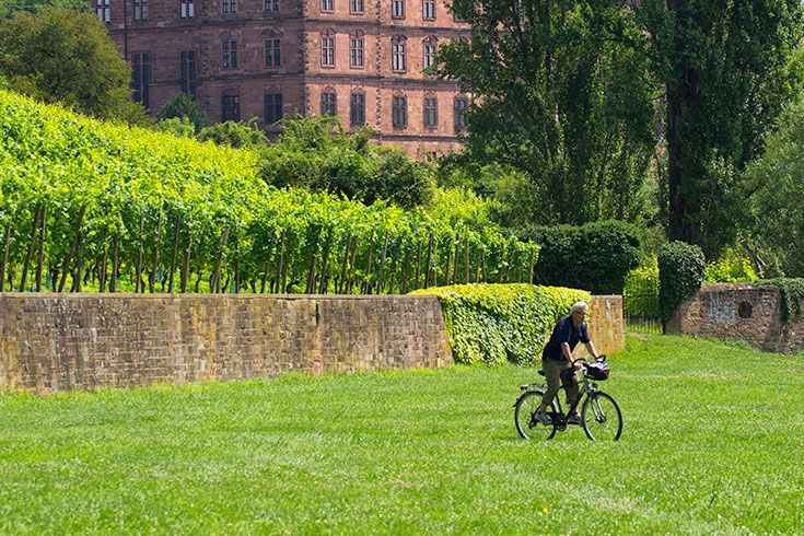 Radfahren in Aschaffenburg (Foto: Till Benzin)