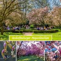 Nr. 03 | Ansichtskarten Aschaffenburg | Motiv 012