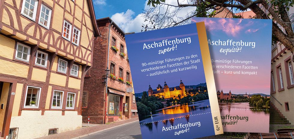 Führungen – Altstadt Aschaffenburg (Foto: Till Benzin)