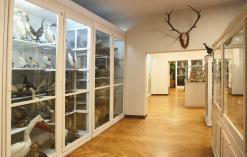 Naturwissenschaftliches Museum