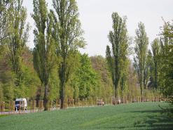 Darmstädter Straße stadteinwärts fotografiert