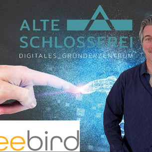 beebird im Interview: Ein Start-up meistert die Krise