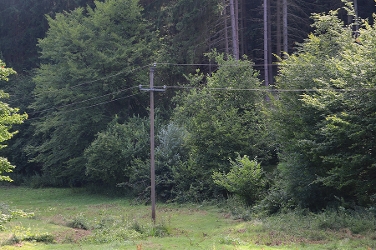 Die Freileitung im Tal