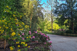 Park Schöntal ©W. Gulder