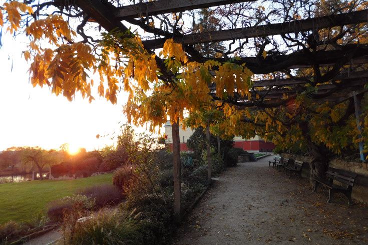 Pompejanumgarten // BSV ©W. Gulder