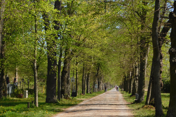 Park Schönbusch // BSV ©W. Gulder