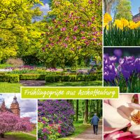 Nr. 03 | Ansichtskarten Aschaffenburg | Motiv 013
