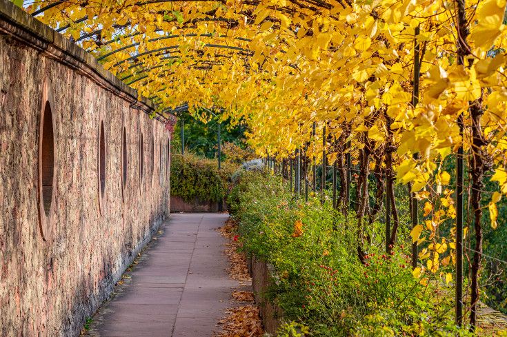 Schlossgarten Laubengang ©Till Benzin