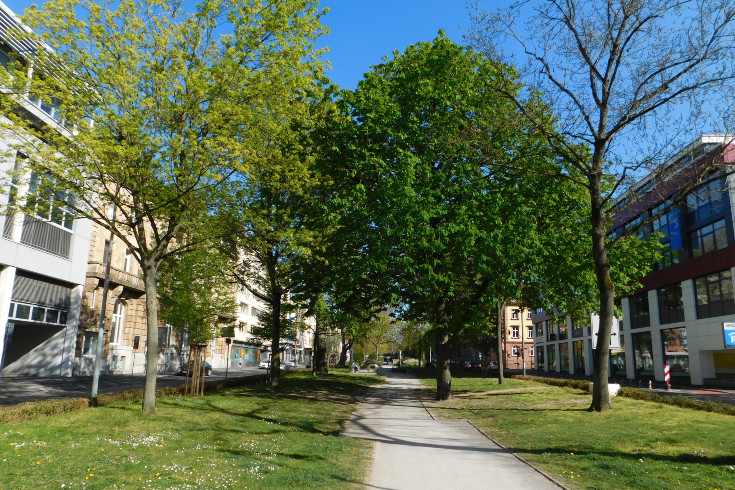 Offenes Schöntal ©W. Gulder