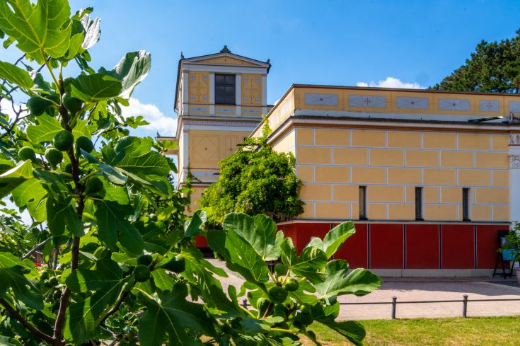 Pompejanum // BSV (Foto: Till Benzin)