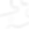 sprout_edited_edited.png