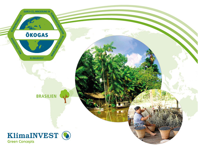Waldschutzprojekt Brasilien Klimaneutral Klimainvest