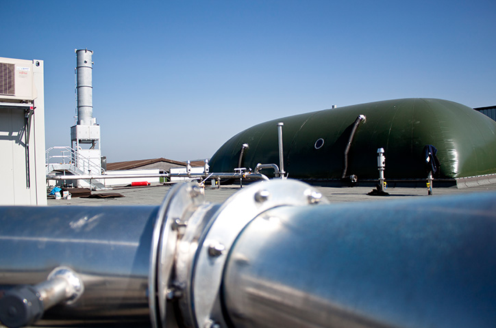 Biogas und &Ouml;kostrom