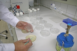 Wasseranalyse