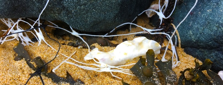Plastikfrei