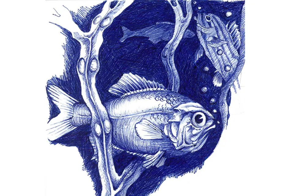 Kugelschreiberbild Unterwasser HSG/FDG