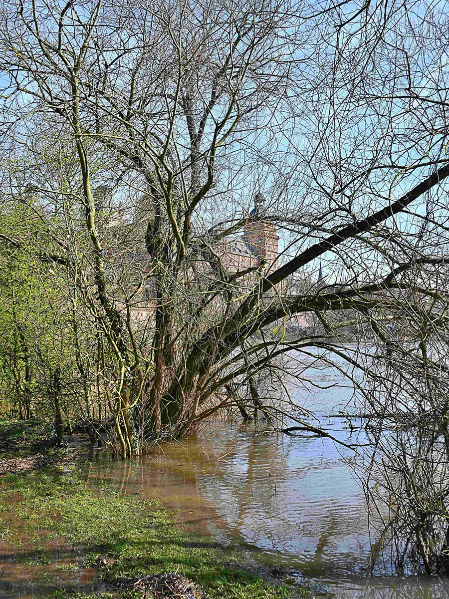 Roland Zeiger: Mainufer mit Schloss Johannisburg Roland Zeiger: Mainufer mit Schloss Johannisburg
