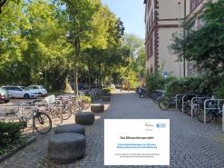Neue Fahrradabstellanlagen am Dalberggymnasium in der Grünewaldstraße