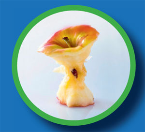 Grafik aufgegessener Apfel