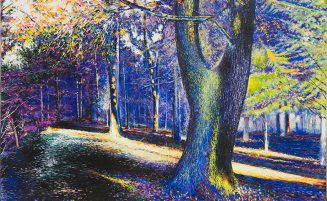 Wald, Impression   (606, Hermann)