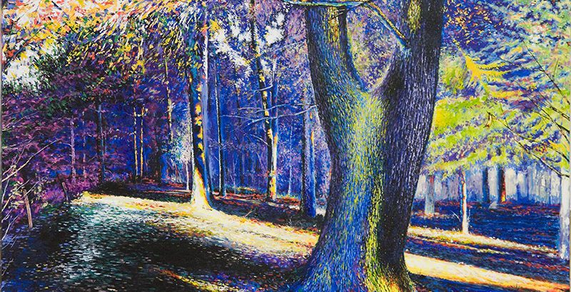 Wald, Impression <p> <br> (606, Hermann)