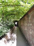 Schlossgarten 