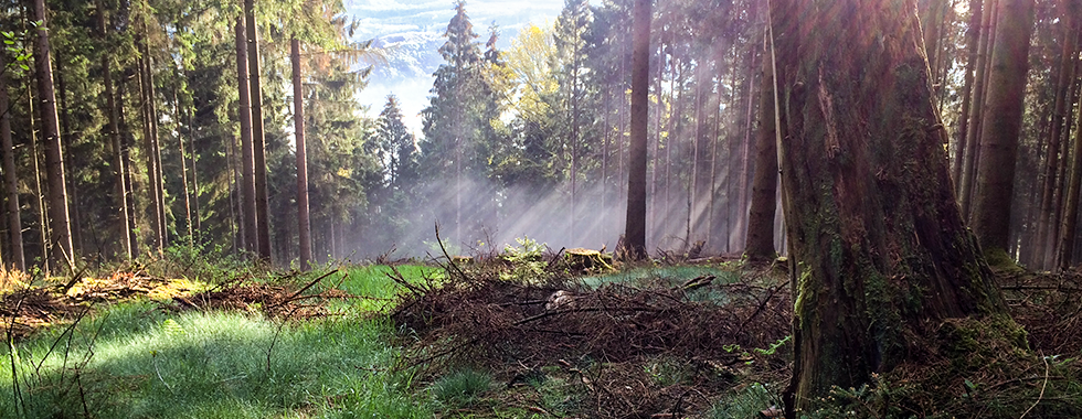 Initiative Klimaschutz