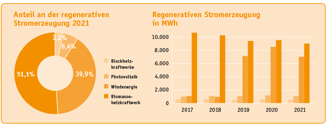 Grafiken zur regenerativen Stromerzeugung