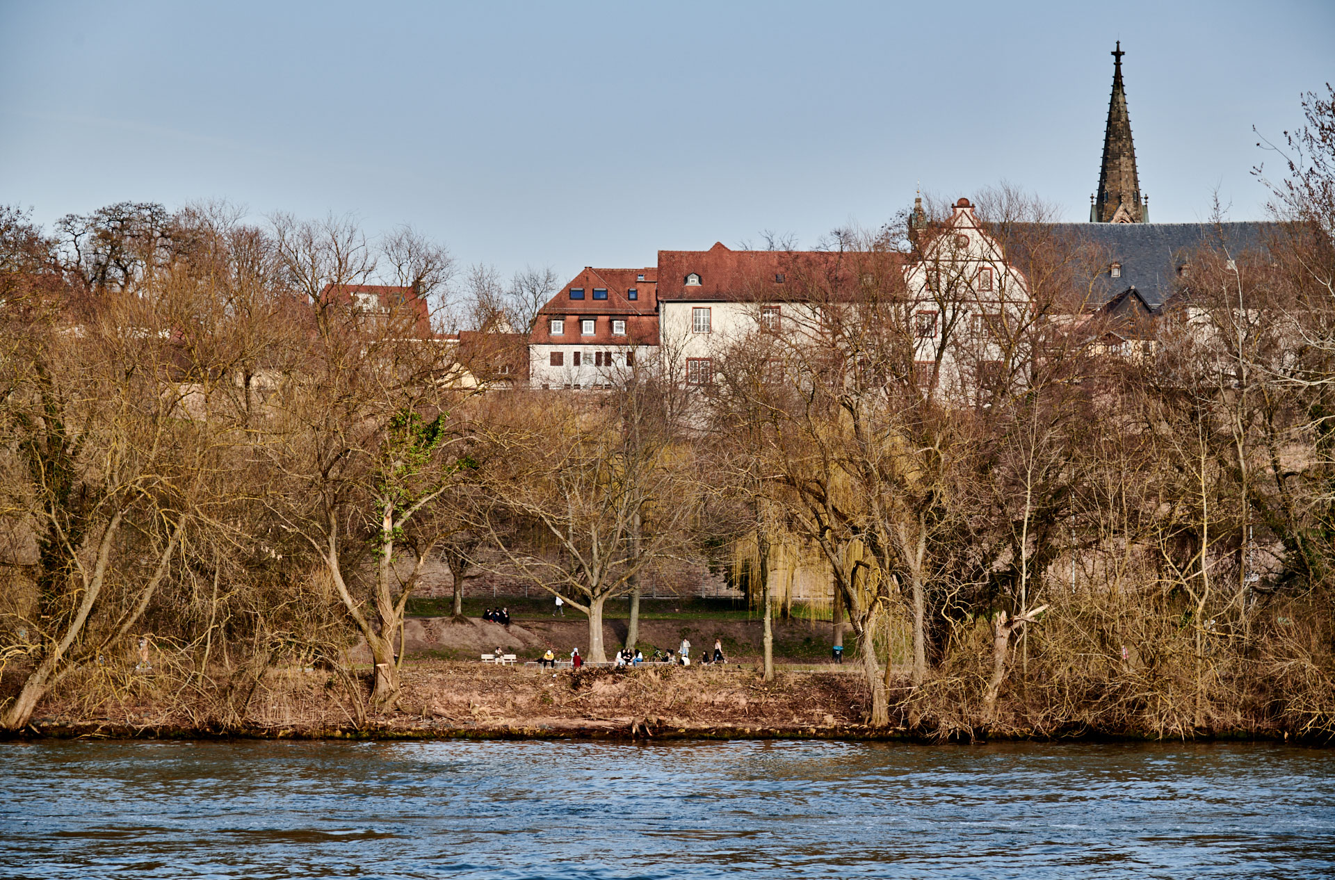 Blick vom Volksfestplatz Richtung Schlossufer (in Höhe altes Forstamt) über eine neue, kleinere Sichtschneise ©Thomas Göttemann