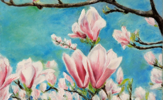 Magnolien   (581, Tobys)
