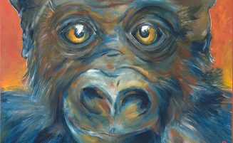Gorilla   (813, Berger)