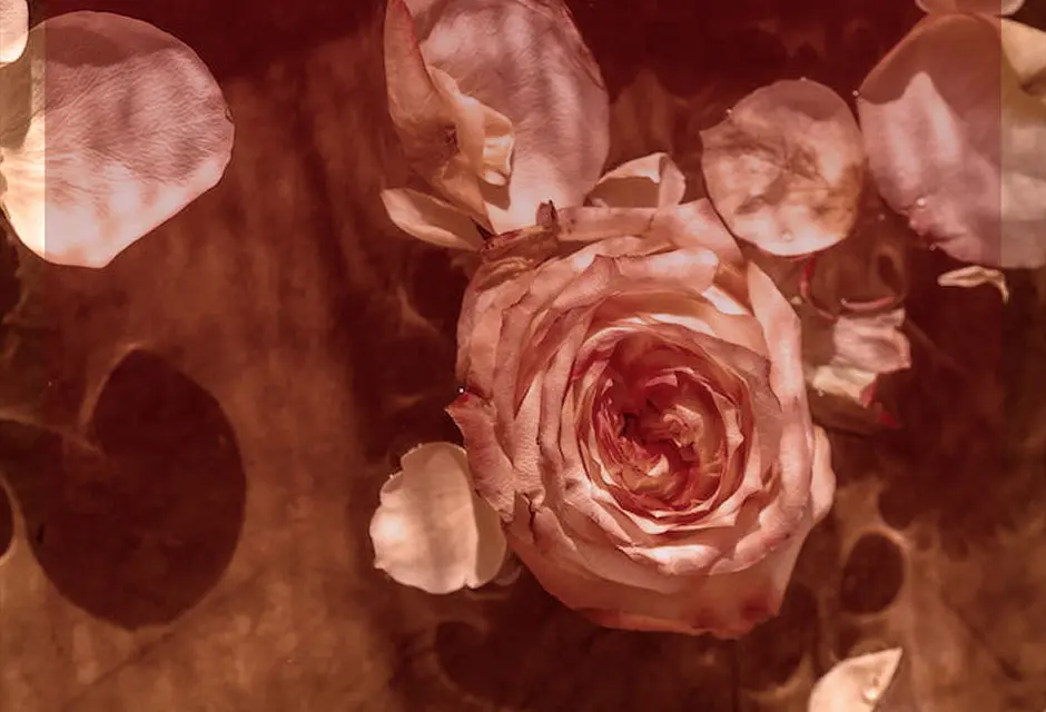 Für Dich solls rote Rosen regnen