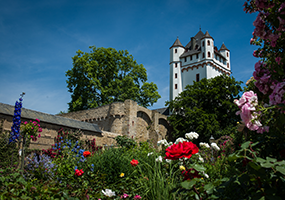 Eltville