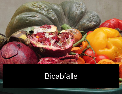 Link führt zur Seite Bioabfall