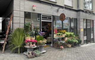 Morgentau Floristik