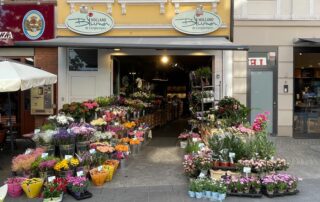 Hollandblumen