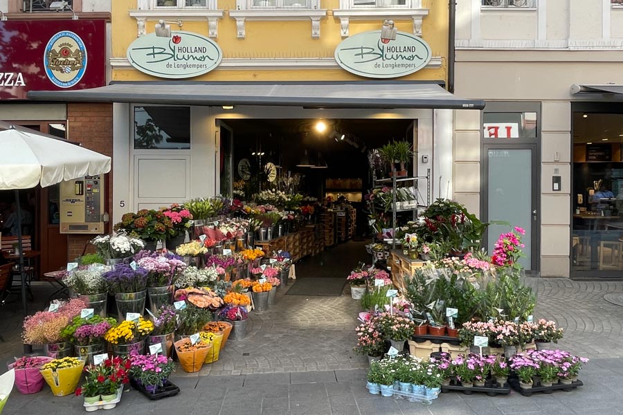 Hollandblumen