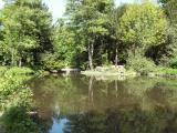 Park Sch&ouml;ntal &copy; Stadt Aschaffenburg, Susanne Vielhauer
