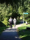 Mainradeweg bei Aschaffenburg 
