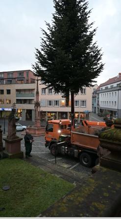  Aufbau vom Weihnachtsbaum 