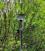  Klimasensoren messen die Wetterdaten