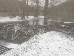  Biberdamm im Gailbach